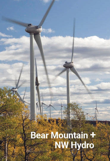 BearMountainNW Hydro 1